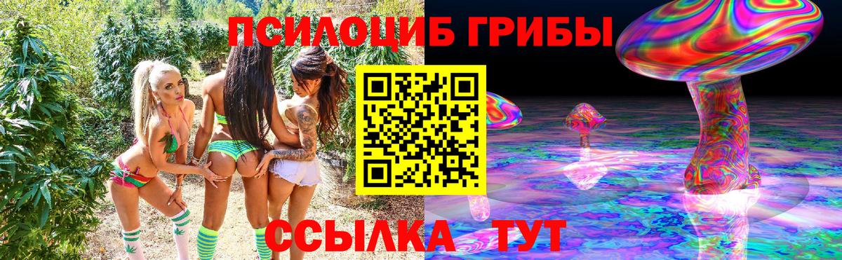 Галлюциногенные грибы MAGIC MUSHROOMS  Галлюциногенные грибы Cubensis  Бийск  Вход с VPN 