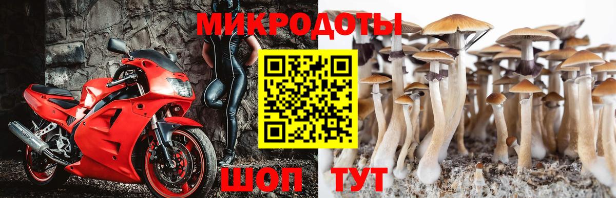 Галлюциногенные грибы прущие грибы Бийск